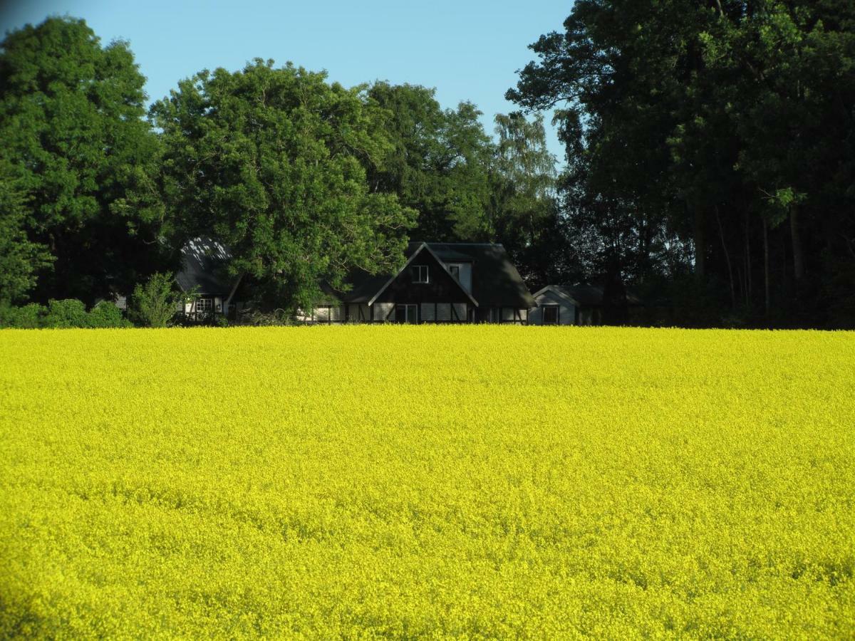 Höganäs Smedsgarden 빌라 외부 사진